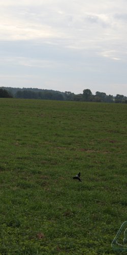 2012 Koprník MirekTopinka